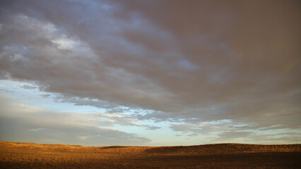 Arid dune in the Kalahari Desert with some dry grass