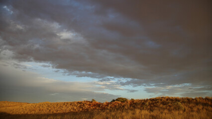 Arid dune in the Kalahari Desert with some dry grass