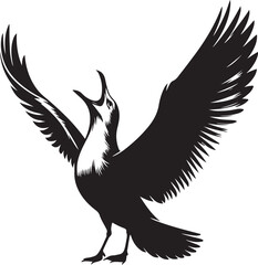 Fototapeta premium silhouette Seagull In Flight 