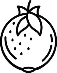 vector illustration of an hala fruit icon.