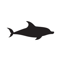 Shark dolphin and whale shark vector illustration isolated on white