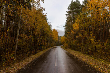 a small paved road in autumn is wet after rain