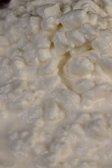 cottage cheese made from lumps with cream close-up