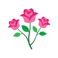 Fototapeta premium Pink rose flower on white background