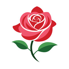 red rose vector illustration