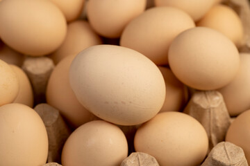 fresh large chicken eggs during packaging