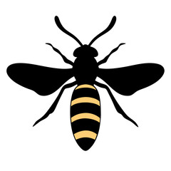 bee on white background