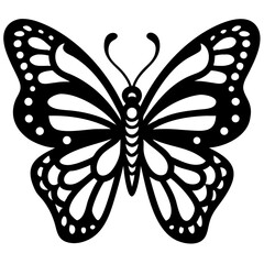 A detailed illustration of a butterfly with an elegant design, featuring intricate wing patterns and a symmetrical body
