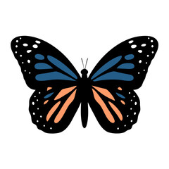 A close-up of a monarch butterfly with intricate wing patterns 