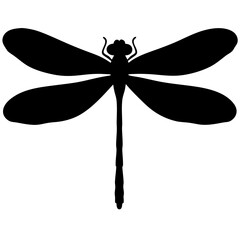 Silhouette of a Dragonfly: A stark, artistic silhouette of a dragonfly, captured in pure black and white, highlighting its delicate structure and iconic winged form.
