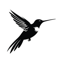 Obraz premium Hummingbird silhouette vector flat graphic illustration