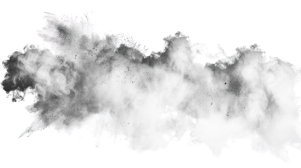 Explosive Smoke: An ethereal cloud of smoke billows outwards, capturing the power and transience of an explosive event. The monochrome palette adds a dramatic touch, intensifying the visual impact.