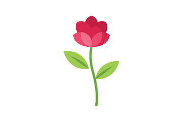Fototapeta premium pink rose isolated on white background