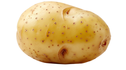 Potato's Close-Up: A close-up shot showcases a fresh, unblemished potato, highlighting its texture and subtle variations in color, emphasizing its natural form and nutritional value.