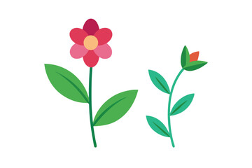 Fototapeta premium pink flower isolated on white background