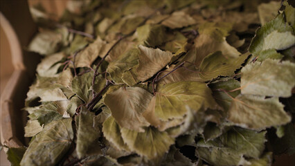 Dried birch leaves forming a traditional sauna whisk. Close-up of dried birch leaves, bundled together to create a whisk, used in traditional sauna practices