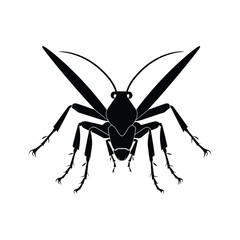 Katydid black silhouette of simple minimal vector