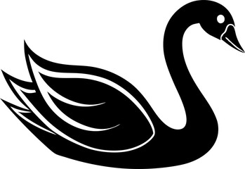 black swan vector illustration