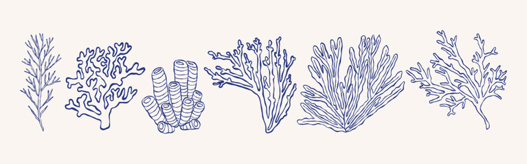 Coral line art set. Minimalist underwater illustrations.