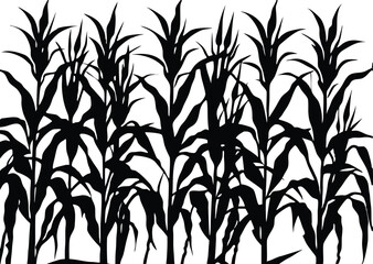 Maize field silhouette. Corn farm black vector illustration. Cultivation of crops.