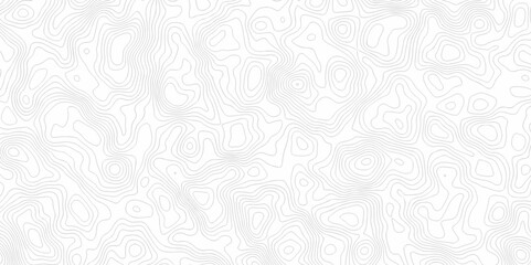 Abstract background with a wave grid map and topography map and seamless pattern with lines White wave paper curved reliefs abstract background, Abstract topographic contours map background.