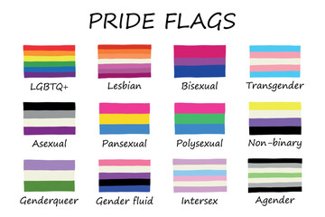 Set of colorful LGBTQ+ pride flags Gender equality and sexual identity pride flags collection LGBTQIA community pride month