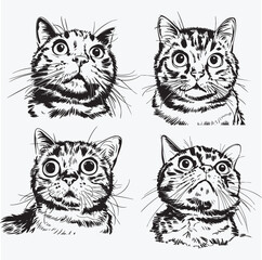 Fototapeta premium Funny Judgemental Cat Clipart , Cat SVG , Cat Clip Art Hand Drawn Cat Sketch Clip Art Kitty Cat Cut File for Cricut File for Silhouette