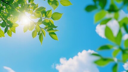 Obraz premium Bright Green Leaves Against Clear Blue Sky