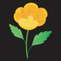 Fototapeta premium Buttercup vector art.