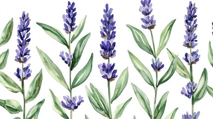 Watercolor Lavender Blossoms