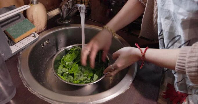 A young woman is blending a wild bear garlic in a kitchen