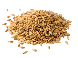 Fototapeta premium Pile of Barley Grains - Isolated on White Background as Transparent. PNG. AI GENERATED