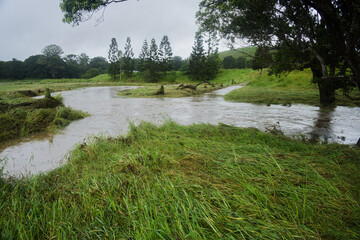 Flooding in South East Queensland