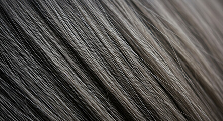Obraz premium Detailed Texture of Grey Hair in Natural Light 