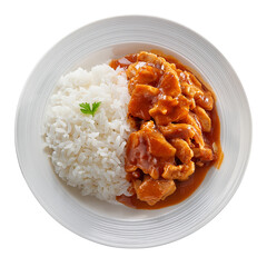 Rice and Meat Dish: A tantalizing visual of fluffy white rice paired with savory, tender meat, all artfully presented on a pristine white plate. A feast for the eyes and a promise of culinary delight.