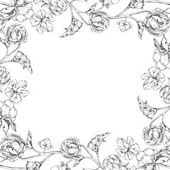 Cloudberry raspberry on stems with plant leaves hand drawn vector ink, line ripe forest berry. Isolated botanical illustration square frame corner. Restaurant, cafe menu, farmers market, recipe book