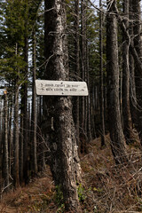 Weathered wooden trail sign nailed to a tree in an Oregon forest, marking Ridge Cutoff Trail and Nick Eaton Trail. Captured in spring along a quiet hiking route through burnt forest