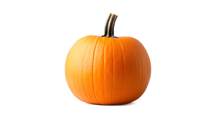 Obraz premium A large orange pumpkin with a stem