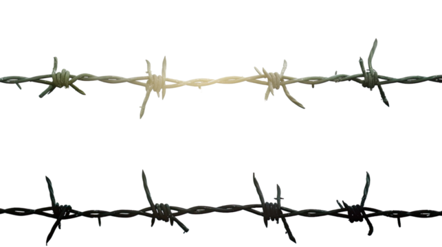 Barbed Wire: Detailed image of sharp and dangerous barbed wire, with intricate spikes and wires, representing boundaries and security.
