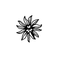Monochrome Sketch of Petaled Flower Blossom Design