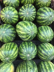 ‏Fresh watermelon on the shelf