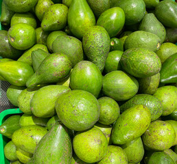 Fresh Green Avocados Piled High in a Market, Showcasing Their Vibrant Texture and Color Under Bright Lighting