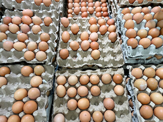 Fresh Brown Eggs Arranged Neatly in Cartons at a Market