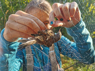 Bird rescue is taking place in a forested area, as a young individual carefully removes a bird...