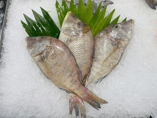 Fresh Fish Display With Green Leaves on Ice at a Market in a Coastal Town During Morning Hours