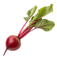 Freshly Harvested Beetroot with Vibrant Red Root and Lush Green Leaves Ready for Cooking or Salads isolated on white or transparent background Generative AI