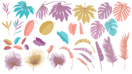 Vector Tropical Leaves. Exotic Palm Summer Forest Silhouettes. Jungle Trees Botanical Illustration. Graphic Plants Outlines Isolated Background. Monstera Abstract Foliage Icons.