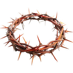 Obraz premium A Detailed Closeup of a Thorny Crown of Christ a Symbol of Sacrifice and Suffering isolated on white or transparent background Generative AI