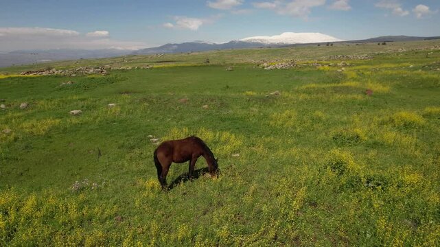 Aerial video over the beautiful landscapes in northern Israel, the Golan Heights