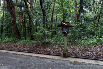 Traditional wooden lantern stands along a pathway in the forested grounds of Meiji Shrine, Tokyo. The scene captures the serene atmosphere of the sacred site after rainfall